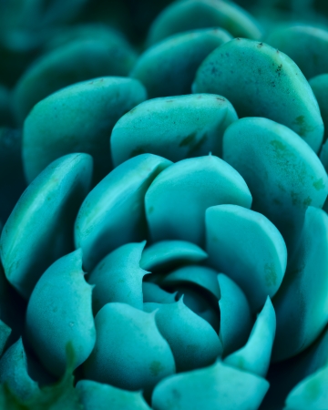 Eric Cahan, Blue Ain't Your Color, 2021
