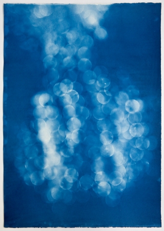 Vanessa Albury<br /> <i>Light Shadowgraphs, Chandelier VIII,&nbsp;</i>2017<br /> Cyanotype on paper<br /> 33 x 24"&nbsp;<br /> Unique