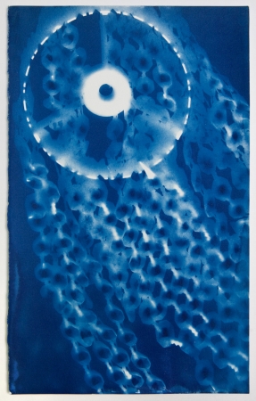 Vanessa Albury<br /> <i>Light Shadowgraphs, Chandelier X,&nbsp;</i>2017<br /> Cyanotype on paper<br /> 13 x 9"&nbsp;<br /> Unique