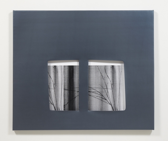Jude Broughan<br /> <i>Sticks</i>, 2016<br /> Archival pigment print and stretched vinyl &nbsp;&nbsp;<br /> 52 x 44" (unique)&nbsp;
