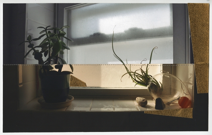 Still Life II, 2018.  Pigment print, laminated vinyl, thread.