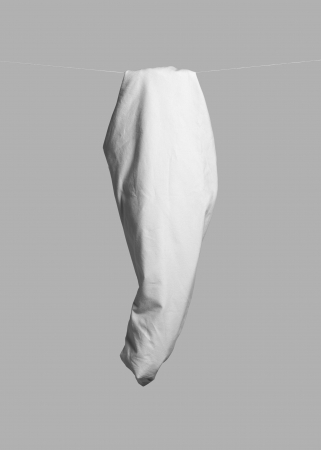 Delphine Burtin, Untitled (from the series Exuvie), 2014