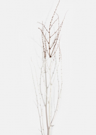 Delphine Burtin, Untitled (from the series Fragments), 2018