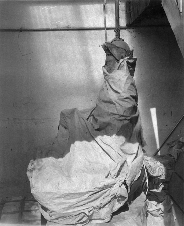 Regina DeLuise<br /> <em>Wrapped Statue, Thimpu, Bhutan</em><br /> 10 x 8"<br /> Platinum-palladium print on Japanese rice paper<br /> Signed, dated and numbered on recto<br /> Edition of 15