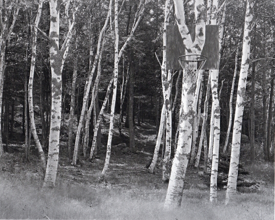Jed Devine<br /> <em>Rod Pratt's Backboard, Friendship Long Island</em><br /> Platinum-palladium print on Japanese rice paper<br /> 8 x 10"
