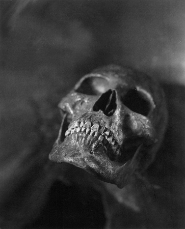 Jed Devine<br /> <em>Skull #11</em><br /> 10 x 8"<br /> Platinum-palladium print on Japanese rice paper<br /> Signed on recto