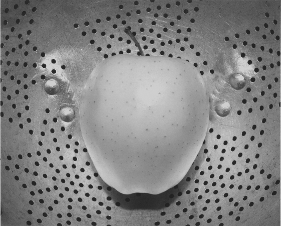 Jed Devine<br /> <em>Untitled (Colander and Apple)</em><br /> Platinum-palladium print on Japanese rice paper<br /> 8 x 10"