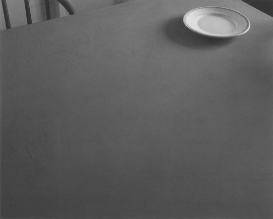 Jed Devine<br /> <em>Untitled (Tabletop with Plate)<em><br />Platinum-palladium print on Japanese rice paper<br /> 8 x 10"