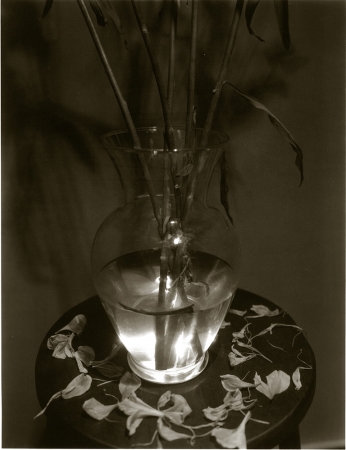 Jed Devine<br /> <em>Untitled, 2000 - 2002</em><br /> Platinum-palladium print on Japanese rice paper<br /> 14 x 11"