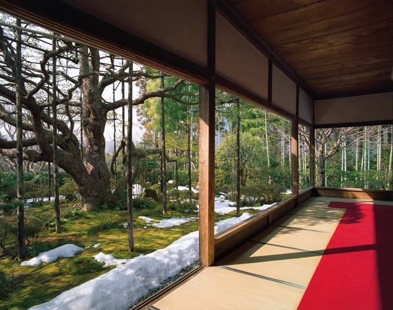 Jacqueline Hassink<br /> <em>Hōsen-in 1, winter,&nbsp;Northeast Kyoto,&nbsp;14 February 2011 (14:00–16:30)</em><br /> Chromogenic prints<br />50 x 63" Shared edition of 7<br />Additional sizes available, please contact gallery for more information