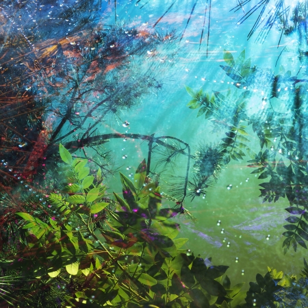 Karine Laval<br /> <em>Untitled #11</em>, 2014<br /> Chromogenic print<br /> 30 x 30" &nbsp; &nbsp;Edition of 5<br />