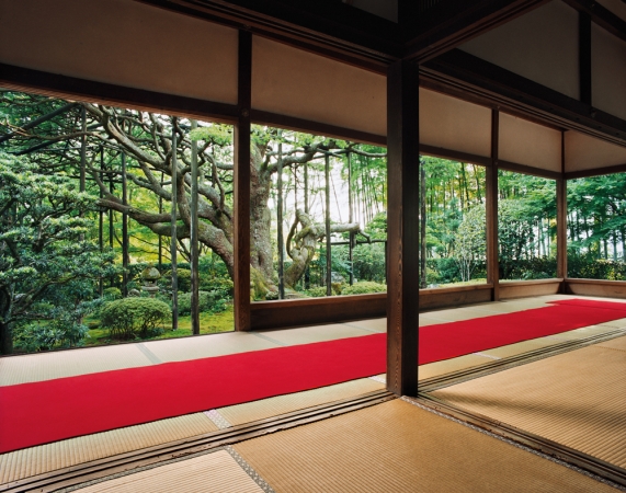 Jacqueline Hassink<br /> <em>Hōsen-in 1, summer,&nbsp;Northeast Kyoto,&nbsp;29 June 2004 (16:00–17:30)</em><br /> Chromogenic prints<br />41 x 51", 50 x 63", and&nbsp;63 x 79"&nbsp; &nbsp;Shared edition of 7<br />