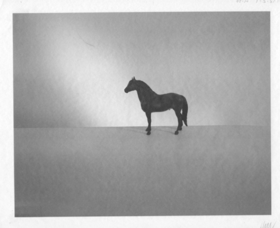 Jed Devine, Horse