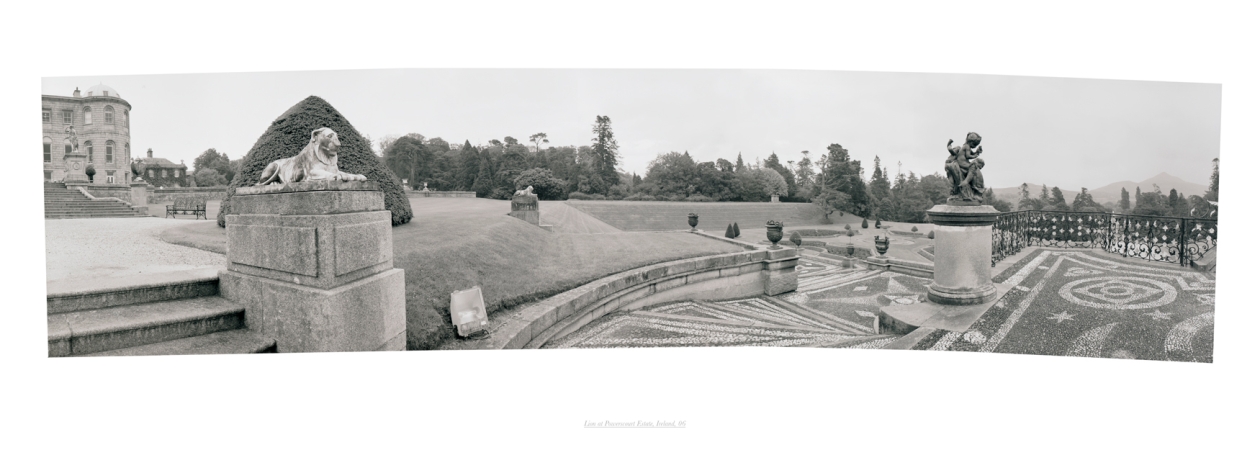 Jed Devine, Lion at Powerscourt Estate 06