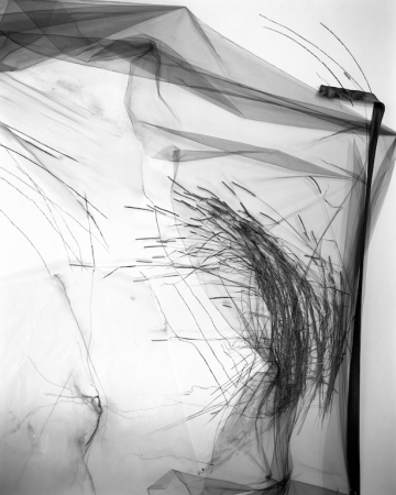 Lauren Semivan<br /> <em>Untitled (August 11)</em>, 2014<br /> Archival ink print<br /> 30 x 24" &nbsp; Edition of 10<br /> 50 x 40" &nbsp; Edition of 5<br />