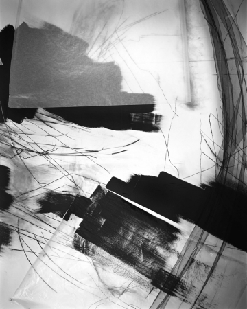 Lauren Semivan<br /> <em>August 14,&nbsp;</em>2014<br /> Archival ink print<br /> 24 x 30" &nbsp; &nbsp;Edition of 10<br /> 40 x 50" &nbsp; &nbsp;Edition of 5