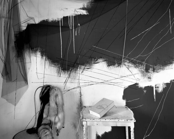 Lauren Semivan<br /> <em>Book and Fur,&nbsp;</em>2015<br /> Archival ink print<br /> 24 x 30" &nbsp; &nbsp;Edition of 10<br /> 40 x 50" &nbsp; &nbsp;Edition of 5