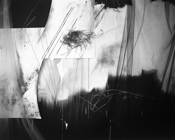 Lauren Semivan<br /> <em>Ellipse 1,&nbsp;</em>2016<br /> Archival ink print<br /> 24 x 30" &nbsp; &nbsp;Edition of 10<br /> 40 x 50" &nbsp; &nbsp;Edition of 5