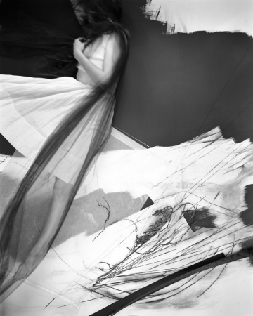 Lauren Semivan<br /> <em>Fall,&nbsp;</em>2015<br /> Archival ink print<br /> 24 x 30" &nbsp; &nbsp;Edition of 10<br /> 40 x 50" &nbsp; &nbsp;Edition of 5