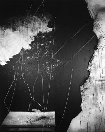 Lauren Semivan<br /> <em>Flour, Chalk, Feathers</em>, 2017<br /> Archival ink print<br /> 30 x 24" &nbsp; Edition of 10<br /> 50 x 40" &nbsp; Edition of 5<br />