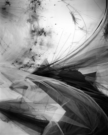 Lauren Semivan<br /> <em>Lining 2</em>, 2016<br /> Archival ink print<br /> 30 x 24" &nbsp; Edition of 10<br /> 50 x 40" &nbsp; Edition of 5<br />