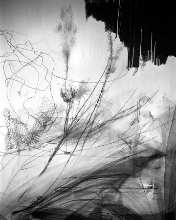 Lauren Semivan<br /> <em>Pendulum</em>, 2015<br /> Archival ink print<br /> 24 x 30" &nbsp; Edition of 10<br /> 40 x 50" &nbsp; Edition of 5