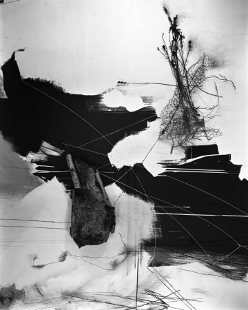 Lauren Semivan<br /> <em>September, Birch, </em>2014<br /> Archival ink print<br /> 30 x 24" &nbsp; &nbsp;Edition of 10<br /> 50 x 40" &nbsp; &nbsp;Edition of 5
