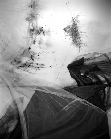 Lauren Semivan<br /> <em>Lining,&nbsp;</em>2016<br /> Archival ink print<br /> 24 x 30" &nbsp; &nbsp;Edition of 10<br /> 40 x 50" &nbsp; &nbsp;Edition of 5