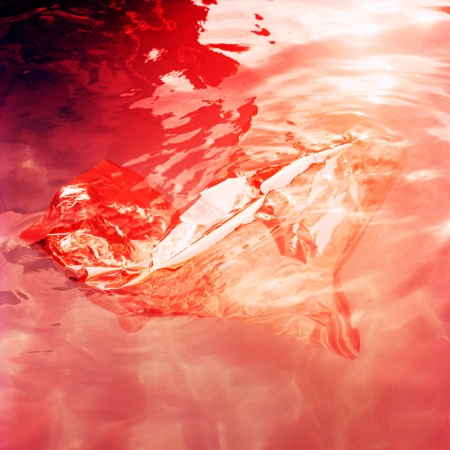 Karine Laval<br /> <em>Untitled #8 (Flux)</em>, 2012<br /> Chromogenic print<br /> 30 x 30" &nbsp; &nbsp;Edition of 5<br /> 48 x 48" &nbsp; &nbsp;Edition of 5