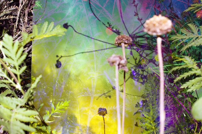 Karine Laval<br /> <em>Untitled #29&nbsp;</em>from the&nbsp;<em>Heterotopia </em>Series, 2014<br /> Chromogenic print<br /> 48 x 72" &nbsp; &nbsp;Edition of 5<br />