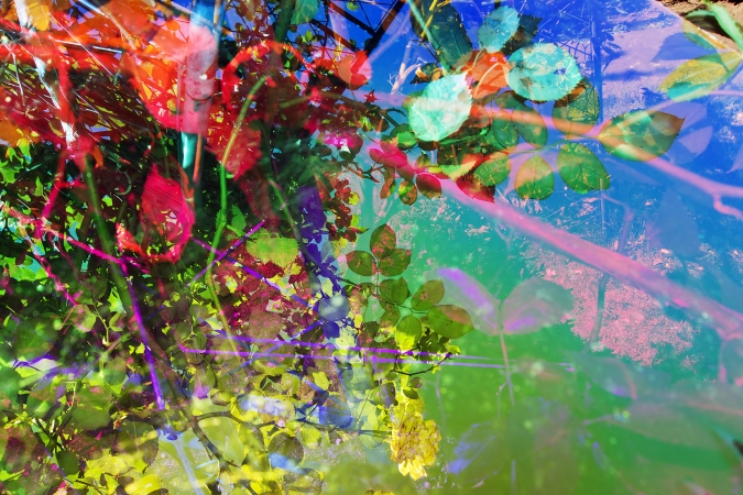 Karine Laval<br /> <em>Untitled #46&nbsp;</em>from the&nbsp;<em>Heterotopia </em>Series, 2014<br /> Chromogenic print<br /> 48 x 72" &nbsp; &nbsp;Edition of 5<br />
