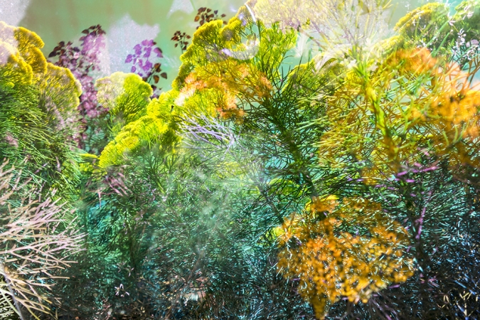Karine Laval<br /> <em>Untitled #55&nbsp;</em>from the&nbsp;<em>Heterotopia </em>Series, 2015<br /> Chromogenic print<br /> 48 x 72" &nbsp; &nbsp;Edition of 5<br />