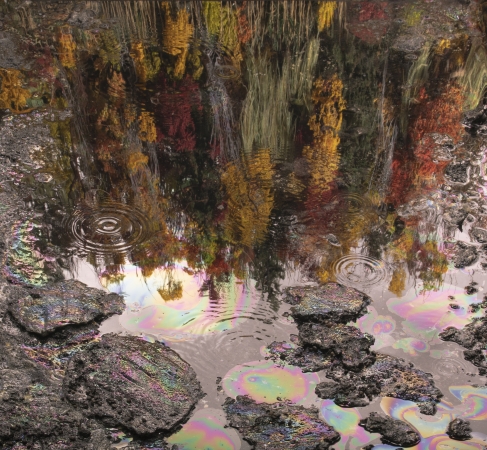 Matthew Albanese, Patterns of Interference, digital c-print, 2020