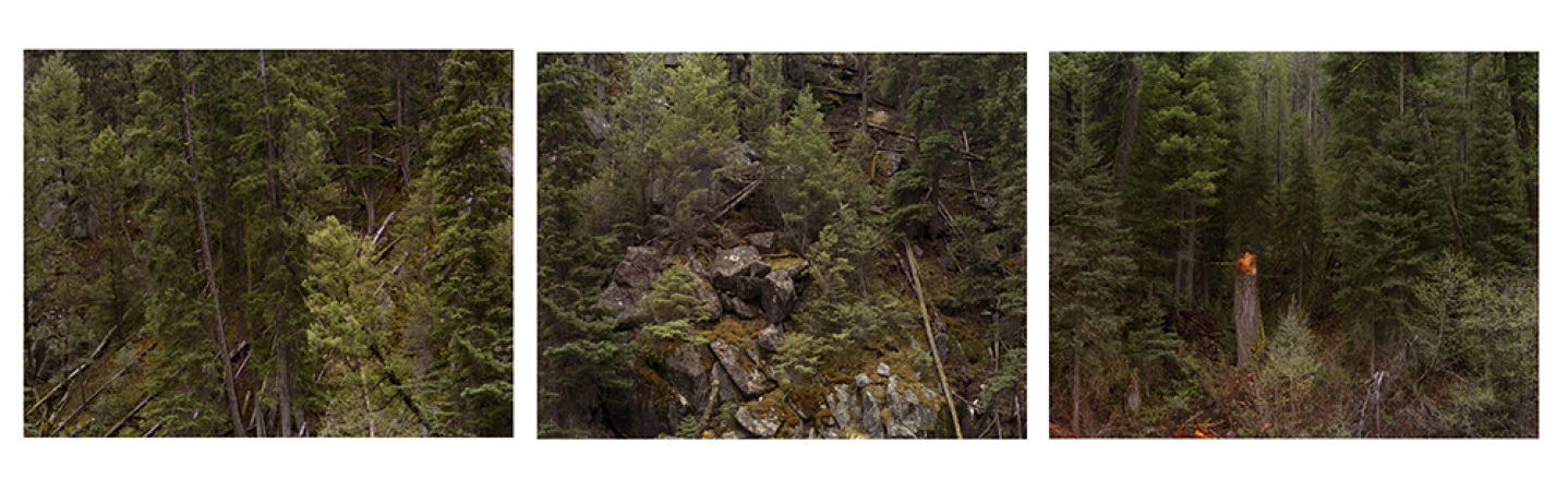 Laura McPhee<br /> <span style="font-size:12px;"><i style="font-family: arial, sans-serif; font-size: 13px;">Above Shotgun Rapids, Salmon River, Cluster County</i><span style="font-family: arial, sans-serif;">, <em>Idaho, 2012</em></span></span><br /> Archival Pigment Ink Prints<br /> 30 x 40" &nbsp; &nbsp;Edition of 5<br /> 40 x 50" &nbsp; &nbsp;Edition of 5<br /> 50 x 60" &nbsp; &nbsp;Edition of 5<br /> 60 x 75" &nbsp; &nbsp;Edition of 5