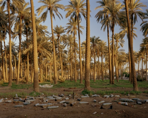 Simon Norfolk<br /> <em>Date Grove, Haifa Street, Atifa, northern Baghdad, </em>2003<br /> Digital chromogenic prints<br /> 20 x 24" &nbsp; &nbsp;Edition of 10 (plus 3 APs)<br /> 40 x 50" &nbsp; &nbsp;Edition of 10 (plus 3 APs)