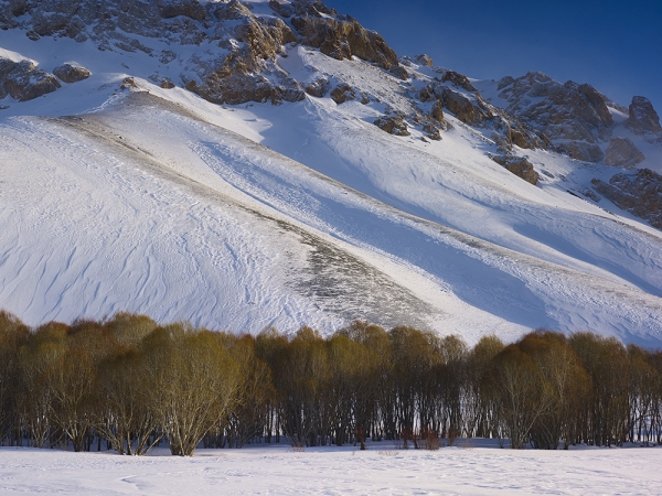 <em>Time Taken 4, Early-Winter</em><br /> <div> Digital chromogenic prints</div><br> 15 x 20" (image size), 21 x 26" (paper size) &nbsp; &nbsp;Edition of 7<br /> 40 x 53.25" (image size) &nbsp; &nbsp;Edition of 7