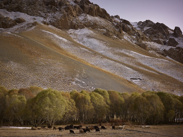 <em>Time Taken 4, Late-Spring</em><br /> <div> Digital chromogenic prints</div><br> 15 x 20" (image size), 21 x 26" (paper size) &nbsp; &nbsp;Edition of 7<br /> 40 x 53.25" (image size) &nbsp; &nbsp;Edition of 7