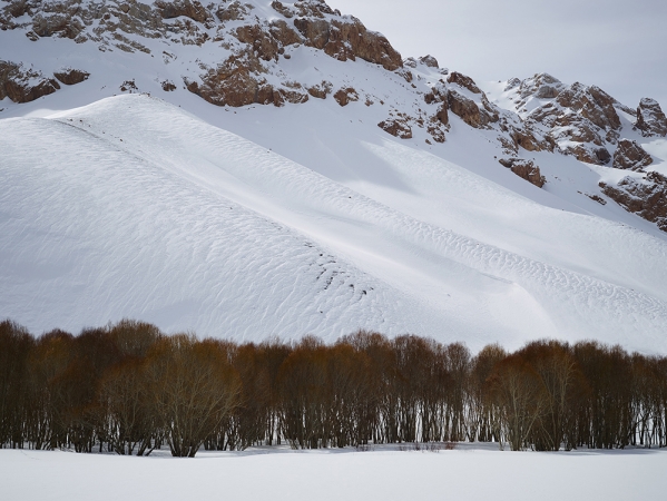 <em>Time Taken 4, Late-Winter</em><br /> <div> Digital chromogenic prints</div><br> 15 x 20" (image size), 21 x 26" (paper size) &nbsp; &nbsp;Edition of 7<br /> 40 x 53.25" (image size) &nbsp; &nbsp;Edition of 7