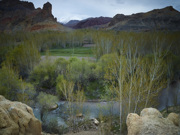 <em>Time Taken 5, Early-Spring</em><br /> <div> Digital chromogenic prints</div><br> 15 x 20" (image size), 21 x 26" (paper size) &nbsp; &nbsp;Edition of 7<br /> 40 x 53.25" (image size) &nbsp; &nbsp;Edition of 7