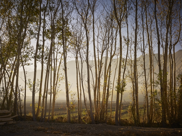 <em>Time Taken 6, Early-Autumn</em><br /> <div> Digital chromogenic prints</div><br> 15 x 20" (image size), 21 x 26" (paper size) &nbsp; &nbsp;Edition of 7<br /> 40 x 53.25" (image size) &nbsp; &nbsp;Edition of 7