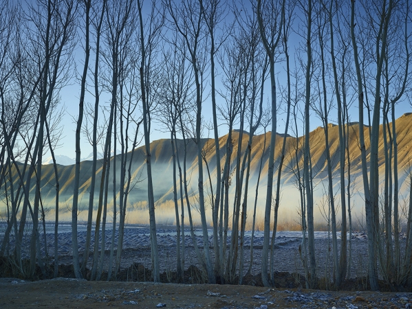<em>Time Taken 6, Early-Spring</em><br /> <div> Digital chromogenic prints</div><br> 15 x 20" (image size), 21 x 26" (paper size) &nbsp; &nbsp;Edition of 7<br /> 40 x 53.25" (image size) &nbsp; &nbsp;Edition of 7