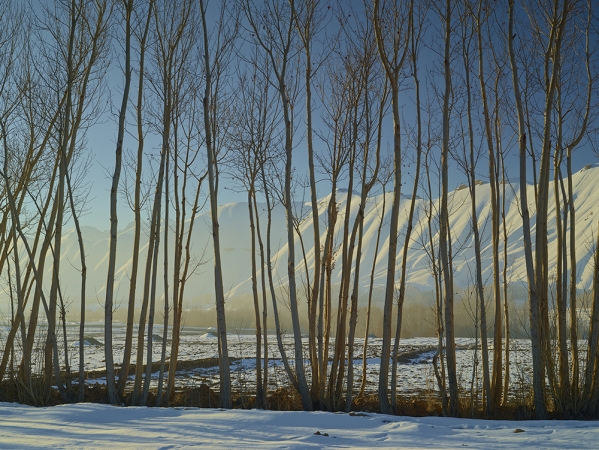<em>Time Taken 6, Late-Winter</em><br /> <div> Digital chromogenic prints</div><br> 15 x 20" (image size), 21 x 26" (paper size) &nbsp; &nbsp;Edition of 7<br /> 40 x 53.25" (image size) &nbsp; &nbsp;Edition of 7