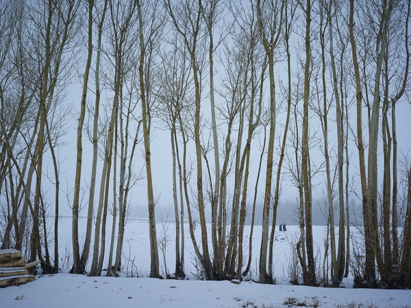 <em>Time Taken 6, Mid-Winter</em><br /> <div> Digital chromogenic prints</div><br> 15 x 20" (image size), 21 x 26" (paper size) &nbsp; &nbsp;Edition of 7<br /> 40 x 53.25" (image size) &nbsp; &nbsp;Edition of 7