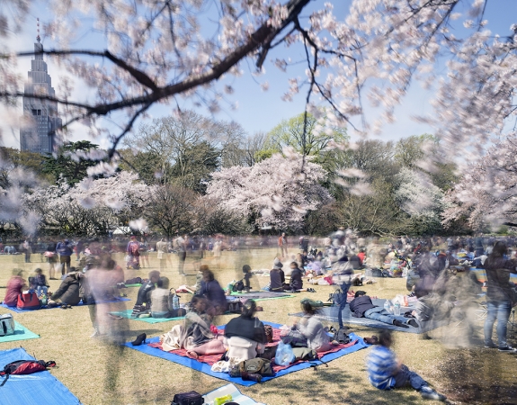 Matthew Pillsbury<br /> <em>Hanami #11, Shinjuku Gyoen, Saturday April 5th</em>, 2014 (TV14611)<br /> Archival pigment ink prints<br /> 20 x 24" &nbsp; &nbsp;Edition of 10<br /> 30 x 40" &nbsp; &nbsp;Edition of 6 (plus 2 APs)<br /> 50 x 60" &nbsp; &nbsp;Edition of 2 (plus 1 AP)