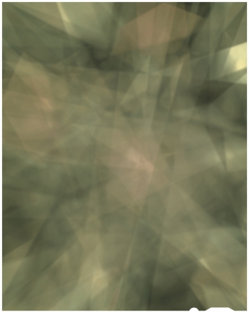 Rey Parla, Dispertion of Time Texture, 2017, c-print, 60 x 50 inches, unique