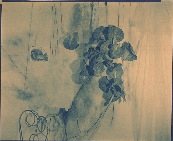 Lauren Semivan<br /> <em>Untitlted (June 25), </em>2013<br /> 8 x 10"<br /> Cyanotype<br /> Signed, titled, dated and numbered on verso<br /> Edition of 10