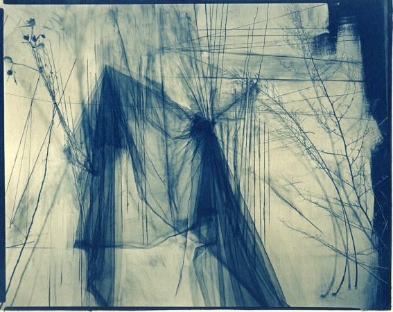 Lauren Semivan<br /> <em>May, </em>2011<br /> Cyanotype, contact print from original negative<br /> 8 x 10" &nbsp; &nbsp;Edition of 10