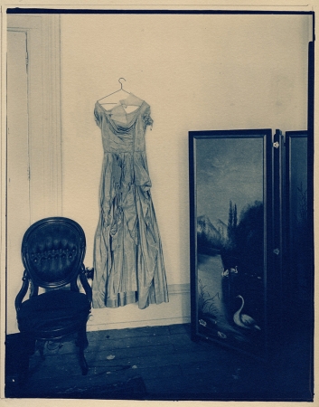 Lauren Semivan<br /> <em>Still Life with Swan and Dress, </em>2008<br /> Cyanotype, contact print from original negative<br /> 10 x 8" &nbsp; &nbsp;Edition of 10
