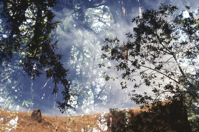 The Family Acid<br /> <em>Big Sur Double Exposure, August 1978</em><br /> Archival pigment ink prints<br /> 20 x 24" &nbsp; &nbsp;Edition of 8