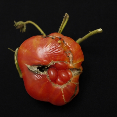 Hiroshi Watanabe<br /> <em>The Day The Dam Collapses &nbsp;#70 (Tomato), </em>2010<br /> Archival ink print<br /> 9 x 9", &nbsp;framed in 13 x 13" white metal frame<br /> Edition of 5<br />